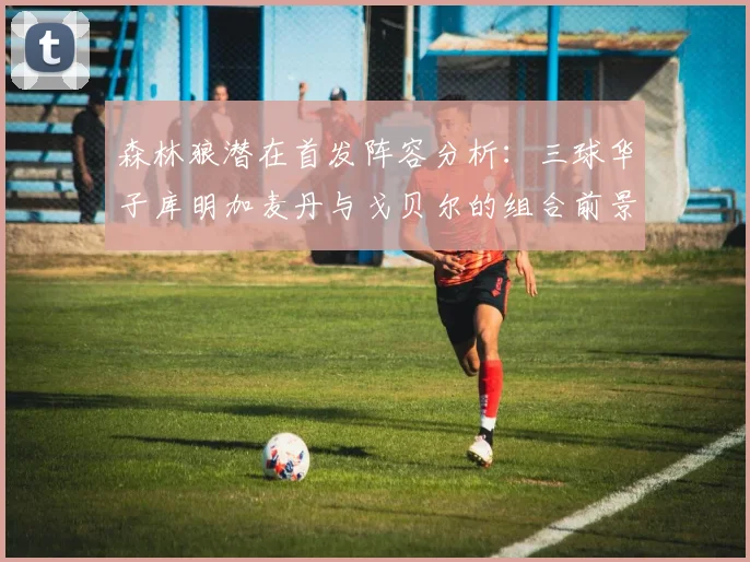 森林狼潜在首发阵容分析：三球华子库明加麦丹与戈贝尔的组合前景如何